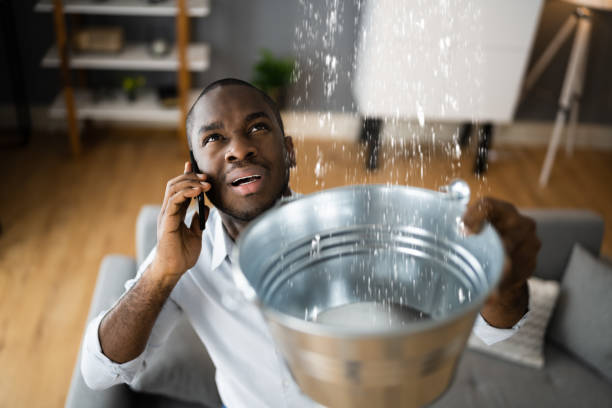 Best Flood restoration services  in Citrus, CA