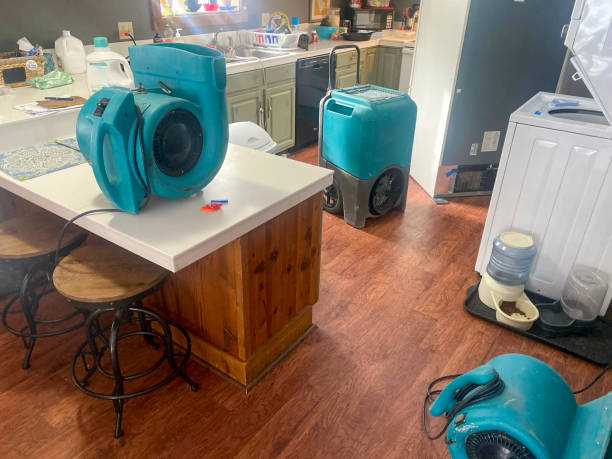 Professional Water damage restoration in Citrus, CA