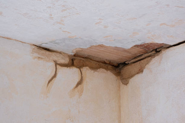 Best 24/7 water damage repair  in Citrus, CA
