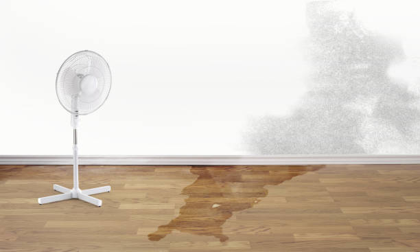 Best Flood damage cleanup  in Citrus, CA