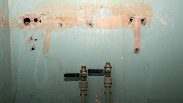 Best Ceiling water damage repair  in Citrus, CA