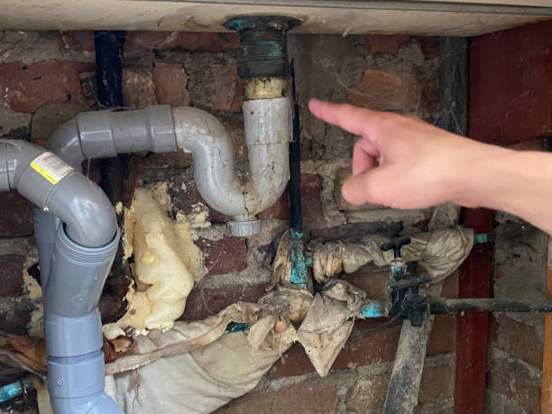 Best Water damage restoration process  in Citrus, CA