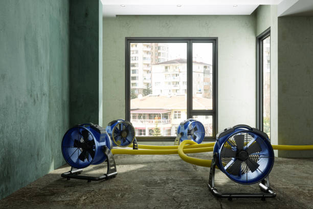 Best Mold removal after water damage  in Citrus, CA